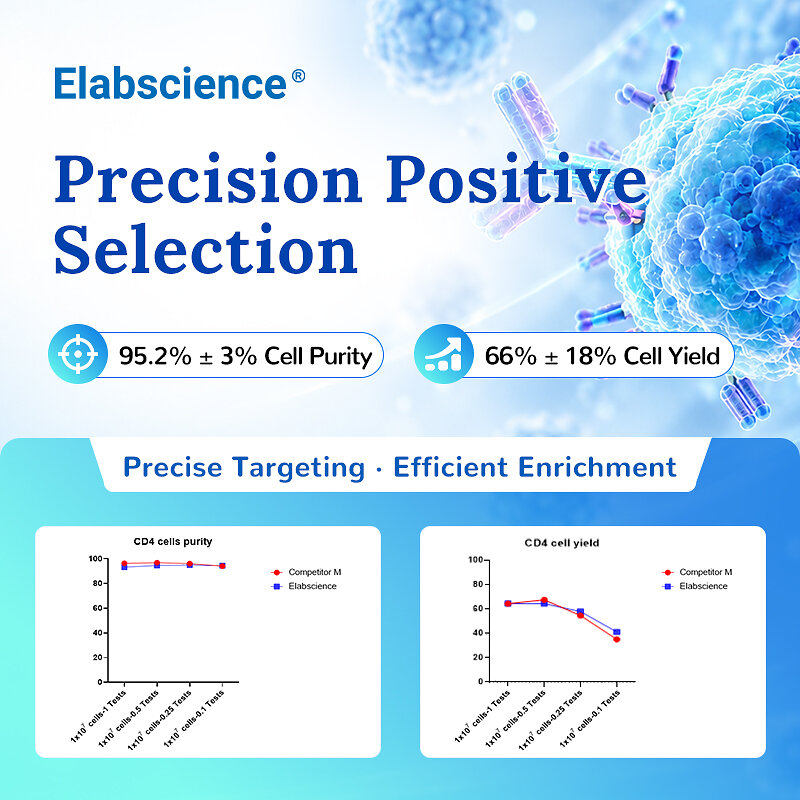 Elabscience® Launches EasySort™ Mouse CD4 Nanobeads, Its First Magnetic Bead Product for Positive Cell Selection