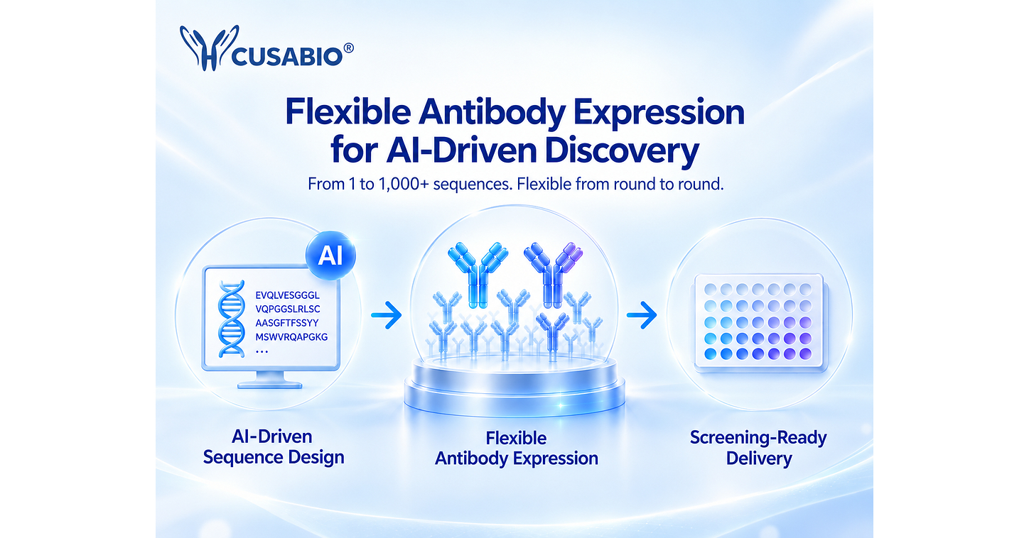 CUSABIO Expands Flexible Antibody Expression for AI-Driven Antibody Discovery