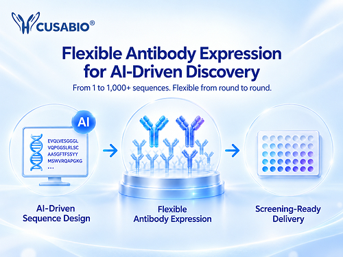 Flexible Antibody Expression for AI-Driven Discovery