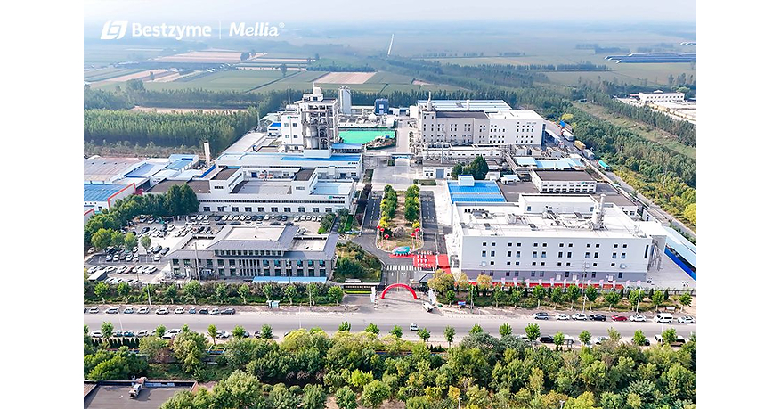 Bestzyme Launches Worlds First Dedicated, Automated Smart Production Line for Sweet Proteins in Jinan Bestzyme Launches Worlds First Dedicated, Automated Smart Production Line for Sweet Proteins in Jinan