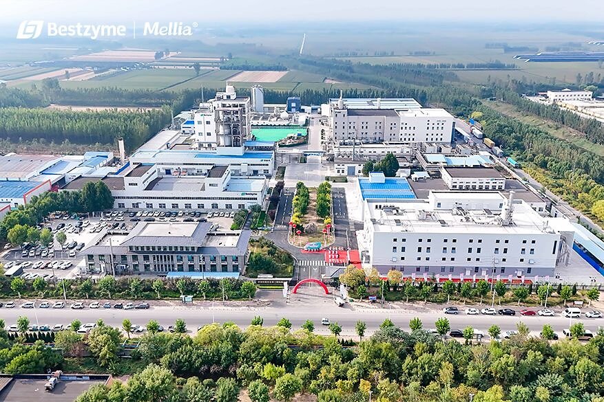 Bestzyme completes automated sweet protein line in Jinan