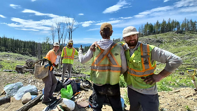 Forests Canada Helps Restore Forests Across the Country with nearly 3.7 Million Trees Planted