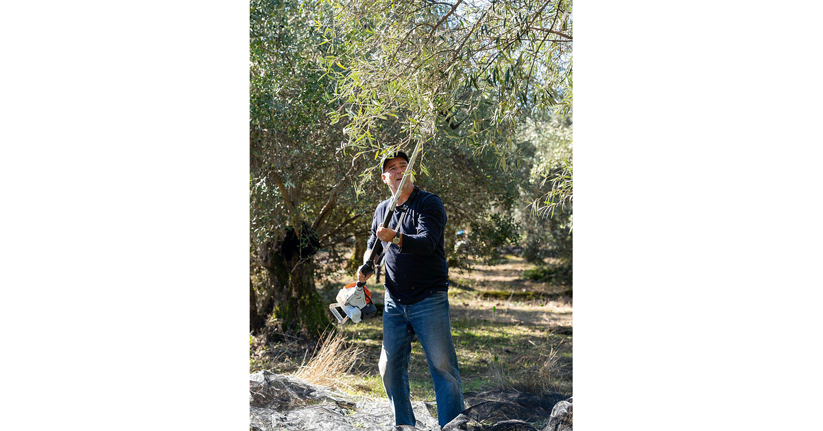 BEAUTY USUALLY STARTS IN A LAB. OURS STARTS WITH OUR OWN TREES