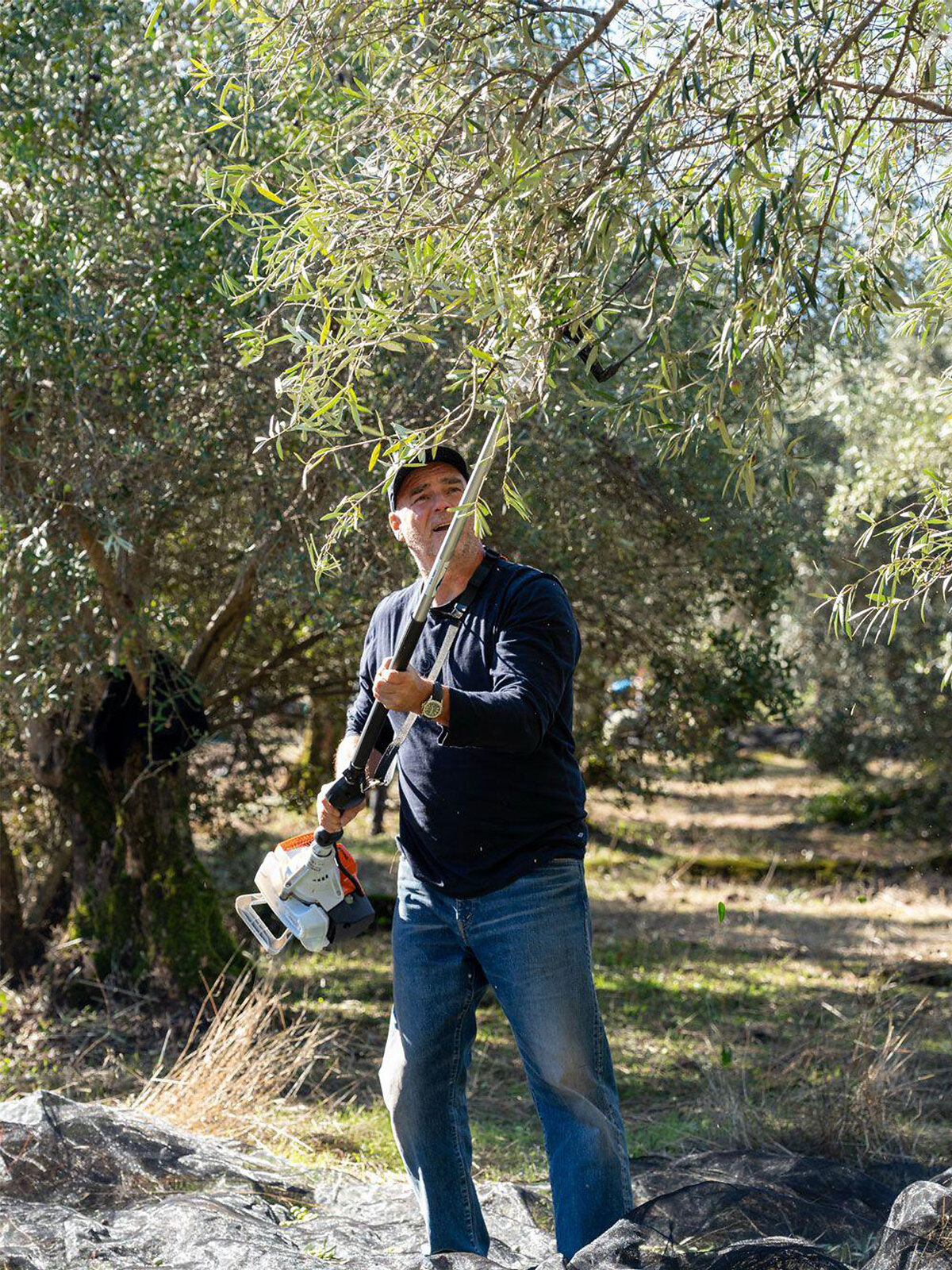 Olive Tree People sai Demeter-sertifikaatin luomuviljelylle