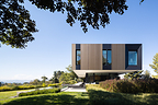 Bronze and Black House