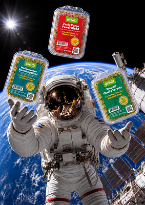 WILD ABOUT SPROUTS DELIVERS OUT-OF-THIS-WORLD GROWTH AS RÄFOODS’ LIVING NUTRITION STRATEGY TAKES ROOT