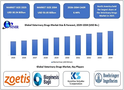 Veterinary Drugs Market 