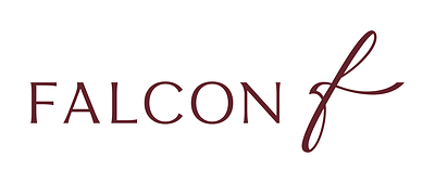 Fly Falcon Logo