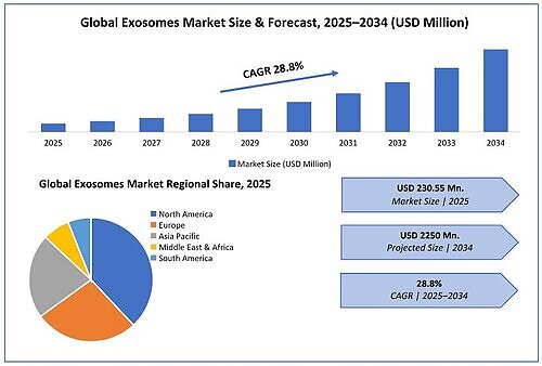 Global Exosomes Market This image opens in the lightbox