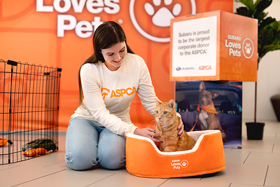 According to the ASPCA, approximately 5.8 million animals entered shelters in the U.S. in 2025. Many of these animals live day after day without the love of a family or a home. Subaru believes that all pets deserve loving homes, which is why we are the largest corporate donor to the ASPCA.