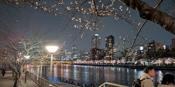 OsakaAgents.com This image opens in the lightbox
