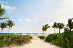 SLS Playa Mujeres
