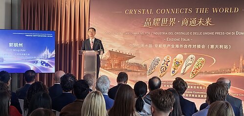 China Donghai Crystal & Press-on Nails Overseas Industry Matchmaking Conference This image opens in the lightbox