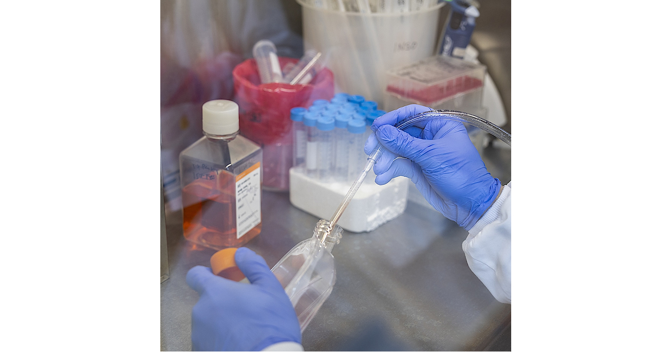 Persista Bio Receives Positive Feedback on Modular Approach from FDA INTERACT