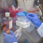 Persista Bio Receives Positive Feedback on Modular Approach from FDA INTERACT