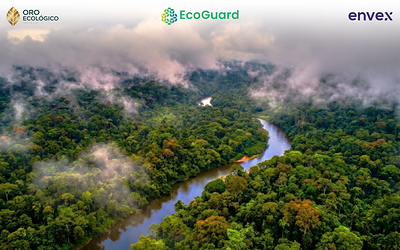 Oro Ecológico, EcoGuard Global, and Envex Technologies Form Strategic Alliance to Build Integrated Natural Capital Ecosystem for Carbon Markets Across Latin America