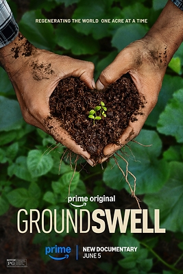 Official Groundswell Poster