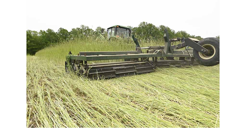 Don't Miss Optimal Cover Crop Opportunities