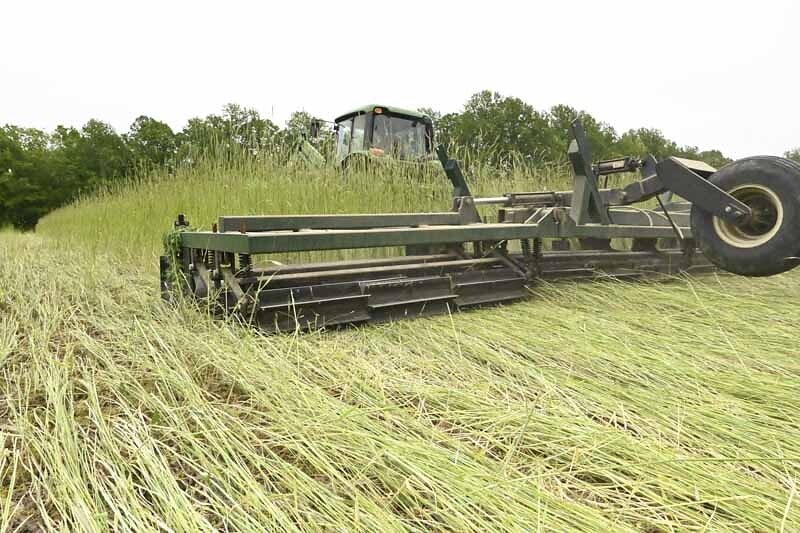 Don't Miss Optimal Cover Crop Opportunities
