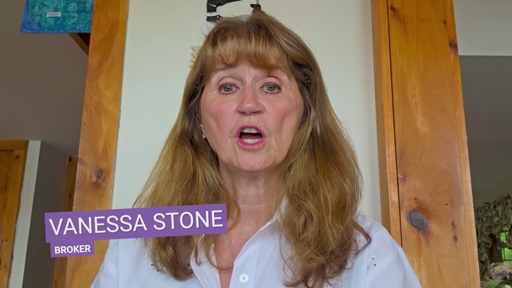 In HelloNation, Real Estate Expert Vanessa Stone Explains How Buying Vacant Land Differs From Buying a Home