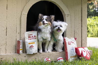 Hutton Brickyards Partners With Oh Norman! To Launch The "Oh Norman! Good Dog Getaway"