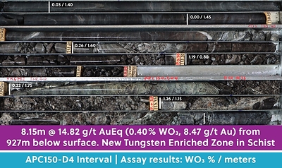 Figure 3: Core from APC150-D4 Showing the New Style of Mineralization Discovered at Apollo: High-Grade Tungsten and Gold Mineralization Hosted in Schist