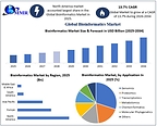 Global Bioinformatics Market to Reach USD 64.60 Billion by 2034, Driven by AI, Genomics, Next-Generation Sequencing, and Precision Medicine Report Maximize Market Research