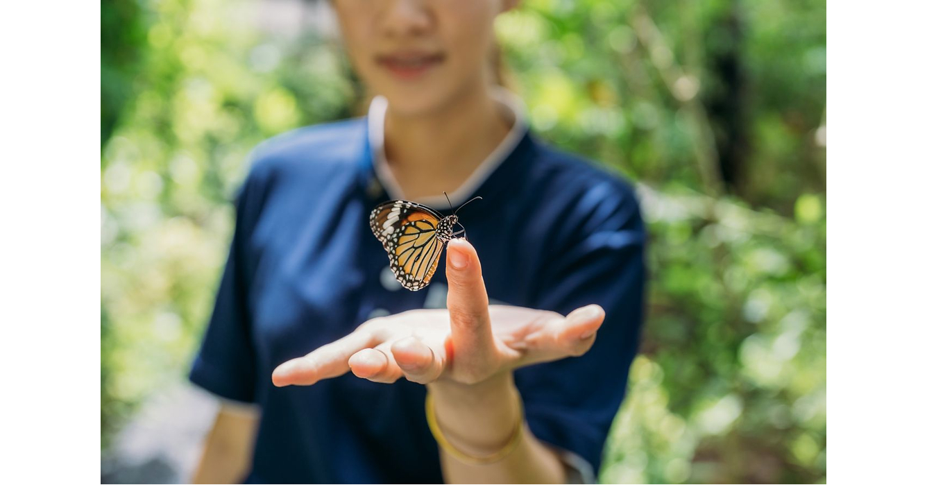 Computer Technology Bookslets Continuing Our Sustainability Journey with Travelife Certification