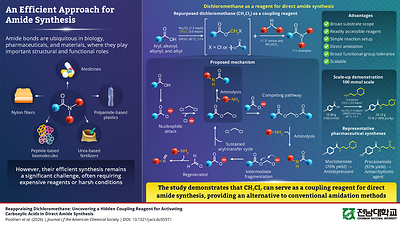 Chonnam University Researchers Discover How a Century-Old Solvent Can Solve Efficient Amide Synthesis
