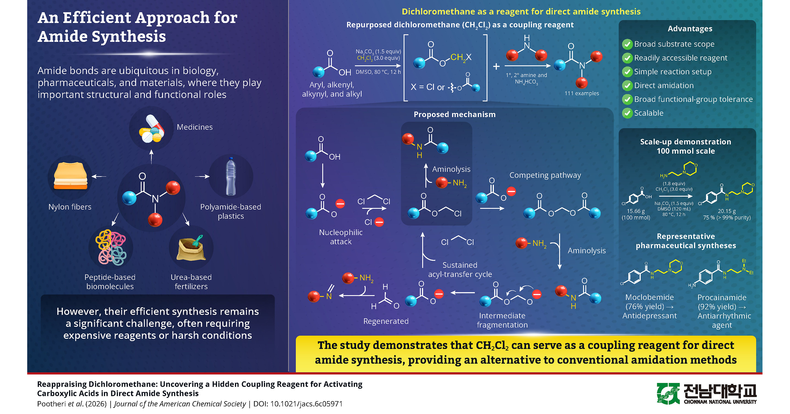 Chonnam University Researchers Discover How a Century-Old Solvent Can Solve Efficient Amide Synthesis