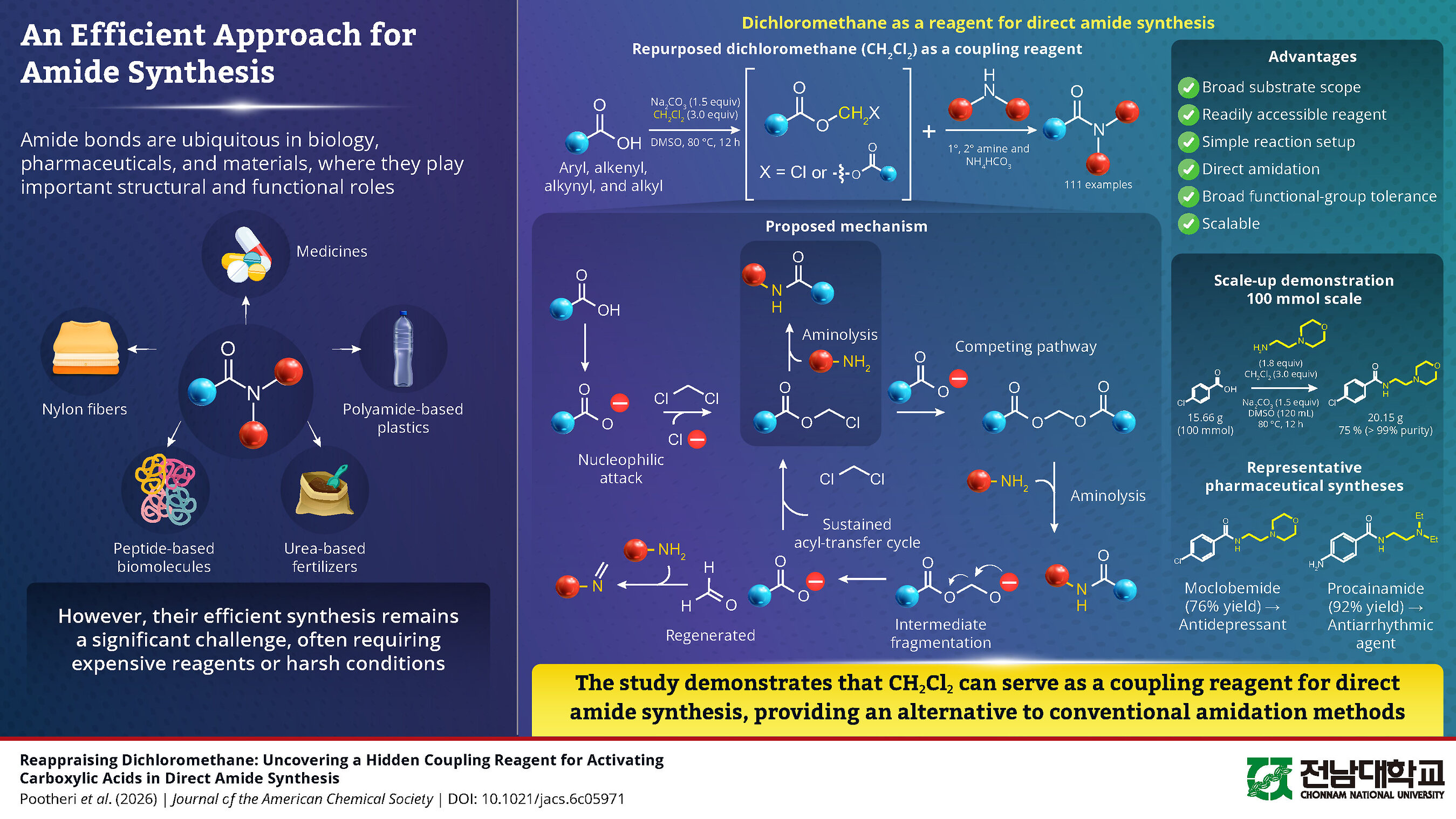 Chonnam University Researchers Discover How a Century-Old Solvent Can Solve Efficient Amide Synthesis