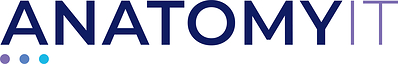 Anatomy IT logo