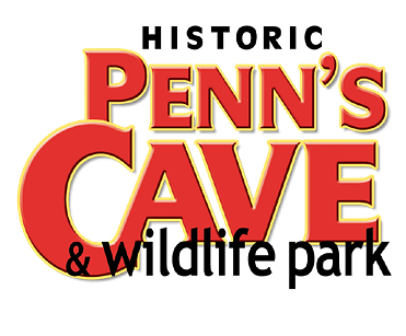 Historic Penn's Cave