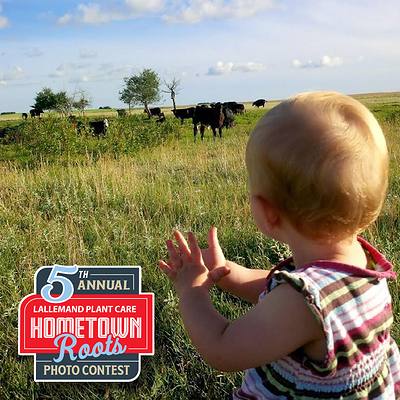 Saskatchewan Winner of Lallemand's Hometown Roots Contest Helps Support Community Emergency Shelter