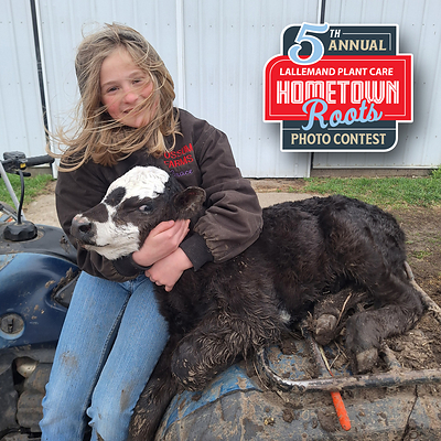 This is my daughter. She helped me retrieve this calf from the field on a cold, muddy day. The calf needed additional help nursing from its mother. It is important to teach my daughter that our efforts matter when taking care of livestock.