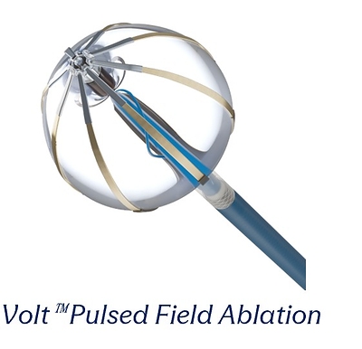 Abbott amplia seu portfólio de eletrofisiologia no Brasil com o lançamento das tecnologias de ablação Volt e TactiFlex Duo