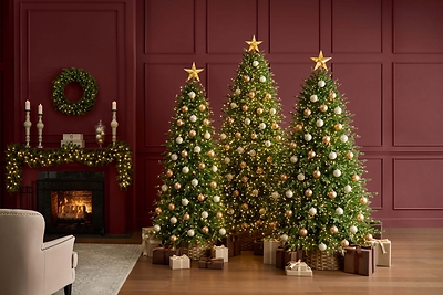 The Home Depot Holiday Collection