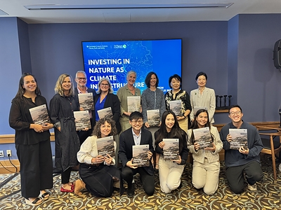 From Nature Projects to Nature Infrastructure: A New Vision for the Greater Bay Area of China