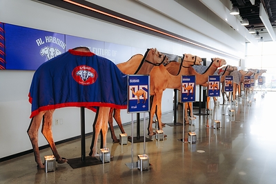 OUTRUN THE STORM: Can You Outrun a Professional Racing Camel?