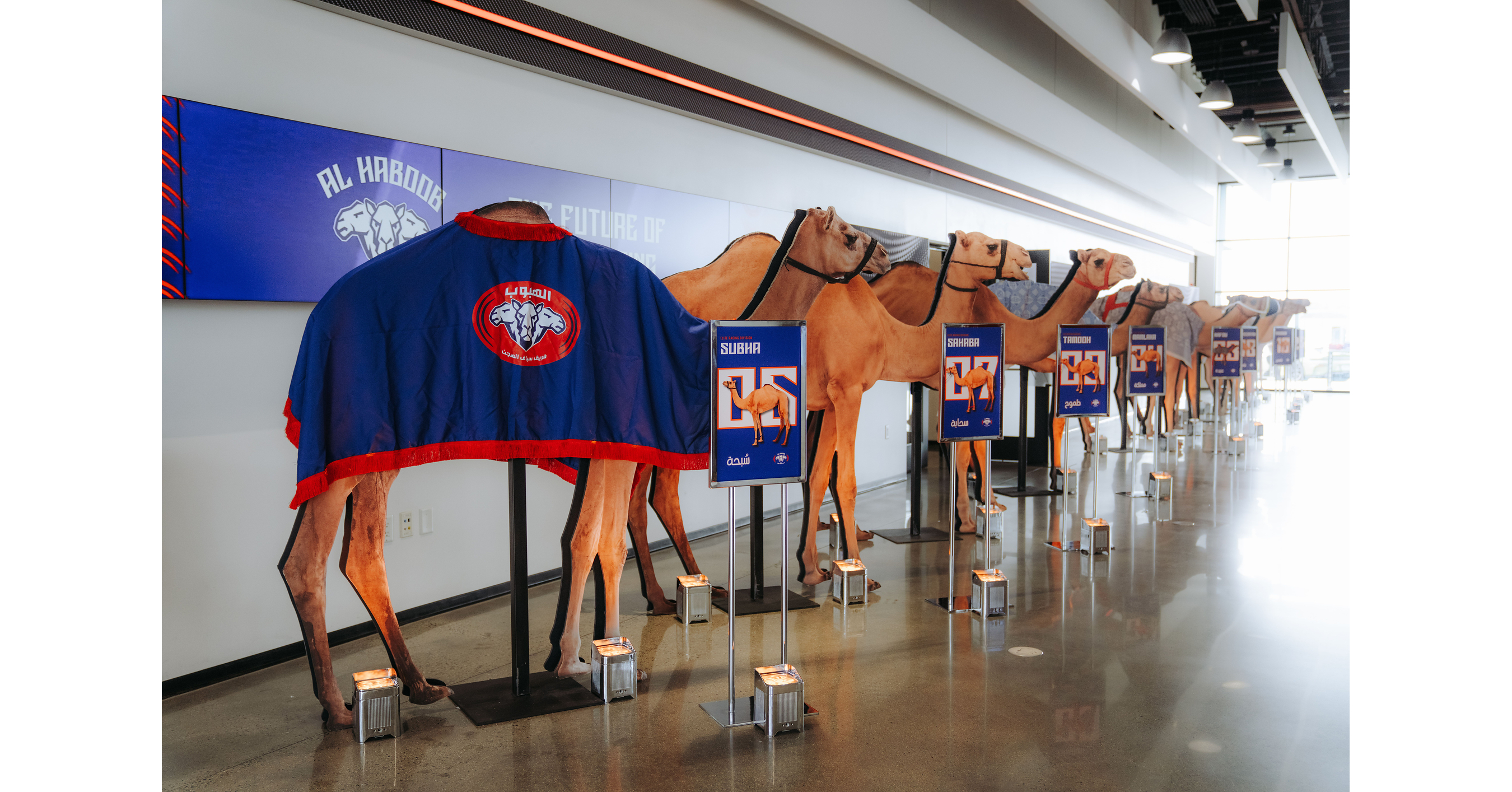 OUTRUN THE STORM: Can You Outrun a Professional Racing Camel?