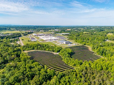 DENSO Manufacturing Athens Tennessee Marks Months of Solar Energy Generation
