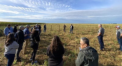Tour participants visited a grain and livestock farm operated by David and Benji Hiebert, near Iroquois, South Dakota, to learn how rotational grazing and cover crops can benefit soil health, water quality and livestock production. Tour participants visited a grain and livestock farm operated by David and Benji Hiebert, near Iroquois, South Dakota, to learn how rotational grazing and cover crops can benefit soil health, water quality and livestock production.