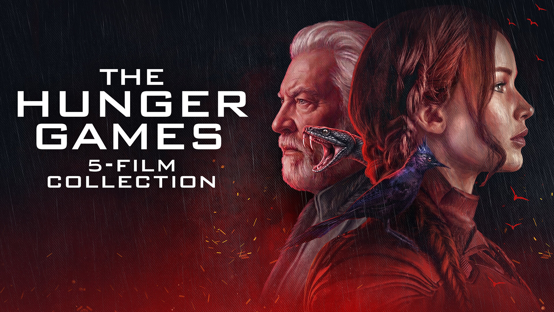 LG Channels Teams Up With Lionsgate for New Franchise-Specific FAST Channels