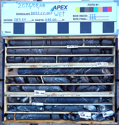 Super Copper Logs Visible Copper in All Four Initial Holes of Cordillera Cobre Maiden Program