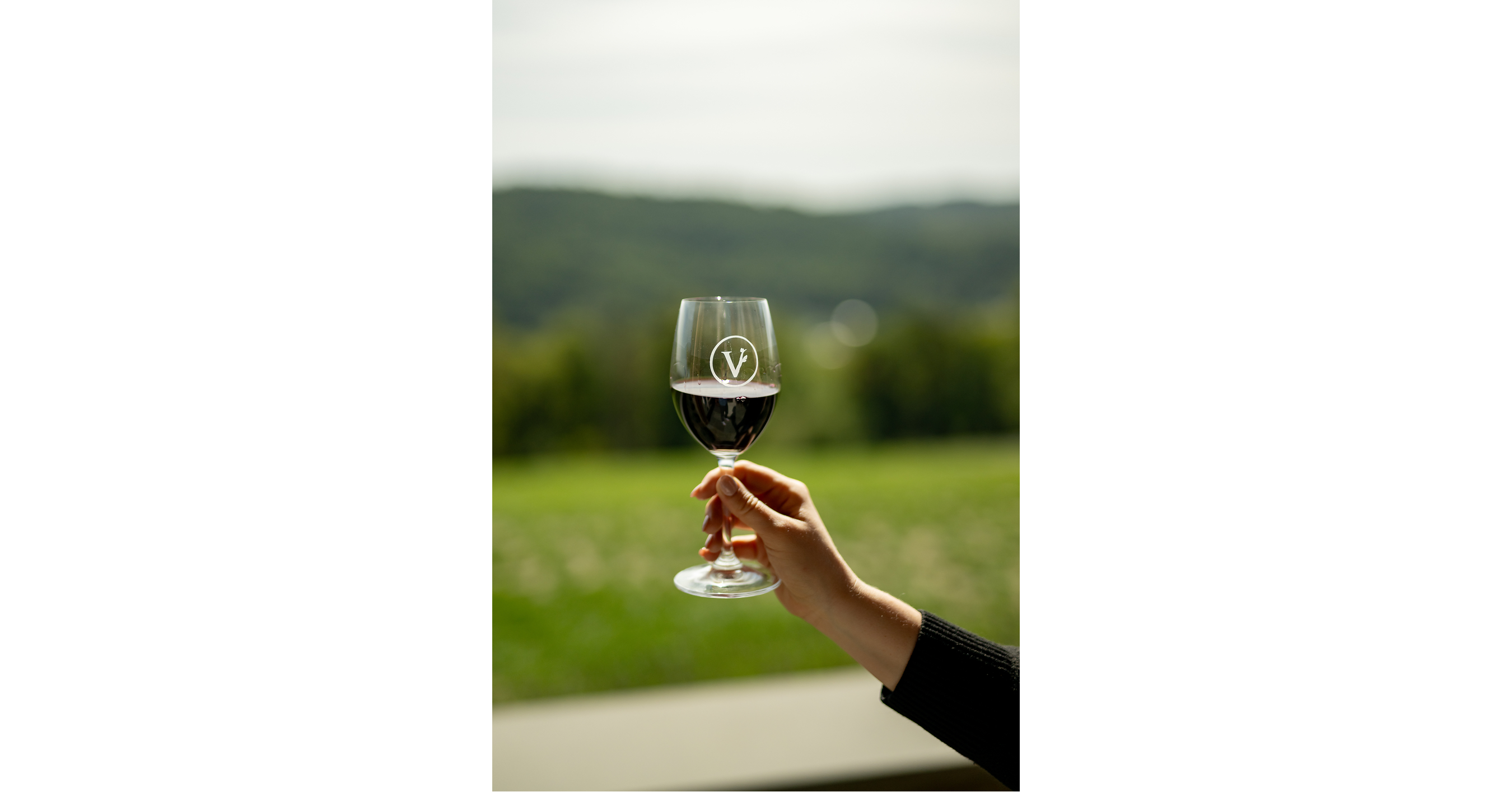 October is Virginia Wine Month