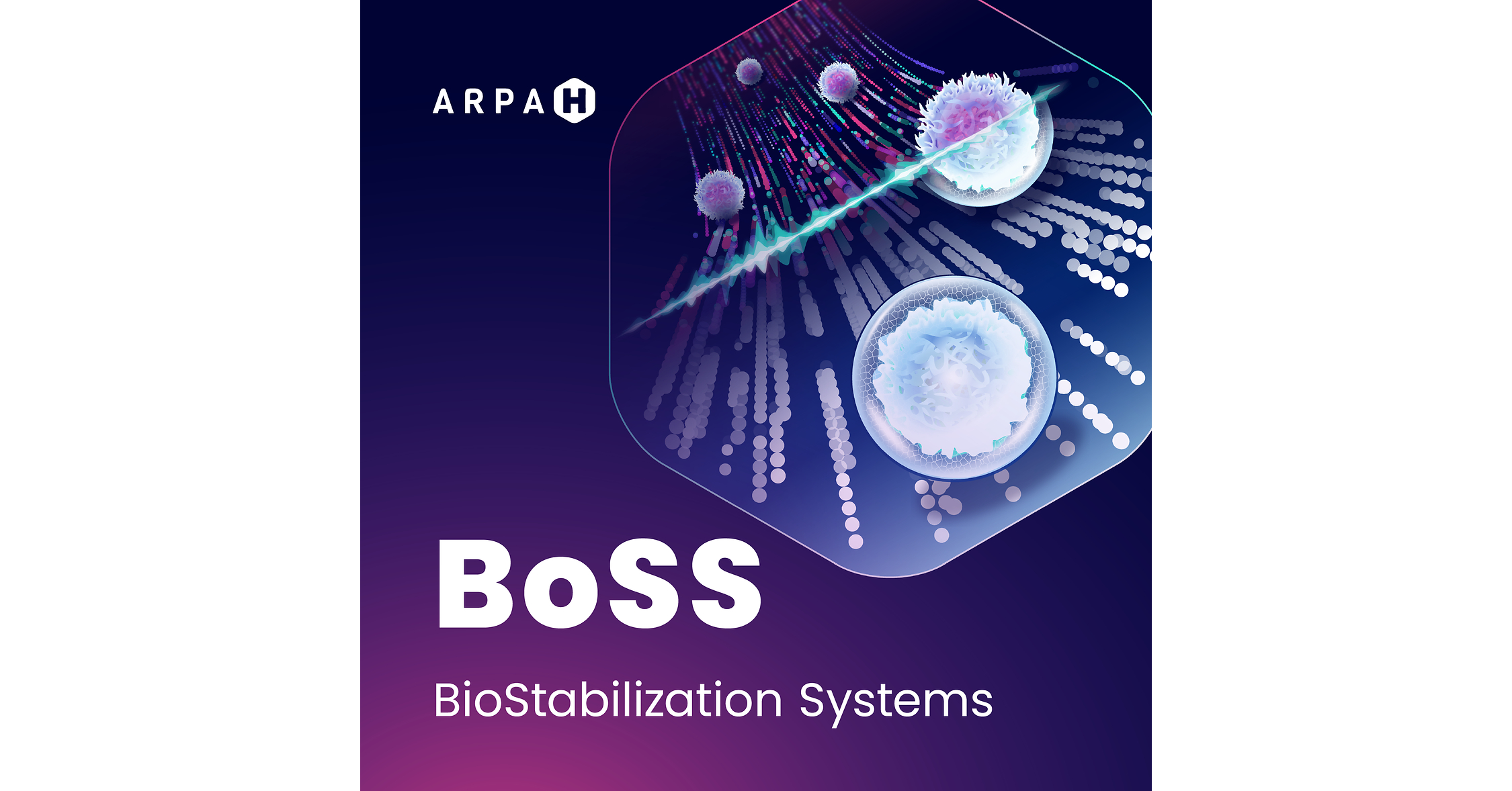 CaseBioscience® se připojila k týmu, který od agentury ARPA-H získal grant ve výši až 7,3 milionu dolarů na rozvoj konzervace buněčných terapií při pokojové teplotě