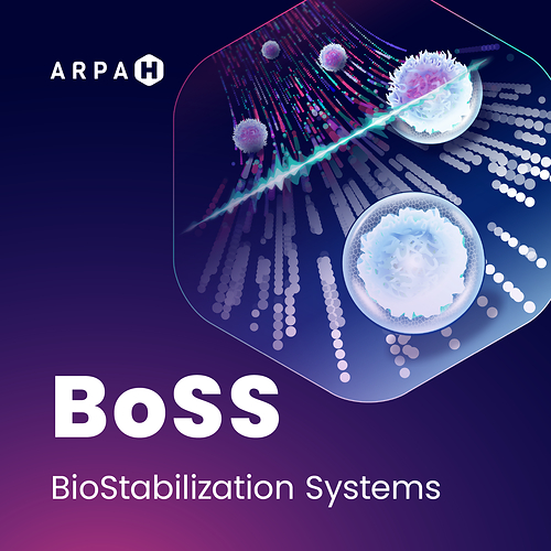 ARPA-H BioStabilization Systems (BoSS) program. Image courtesy of the Advanced Research Projects Agency for Health (ARPA-H). ARPA-H BioStabilization Systems (BoSS) program. Image courtesy of the Advanced Research Projects Agency for Health (ARPA-H).