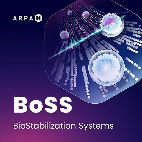 ARPA-H BioStabilization Systems (BoSS) program. Image courtesy of the Advanced Research Projects Agency for Health (ARPA-H). This image opens in the lightbox