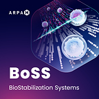 CaseBioscience® schließt sich einem Team an, das von ARPA-H bis zu 7,3 Millionen US-Dollar für die Weiterentwicklung der Lagerung von Zelltherapien bei Raumtemperatur erhält