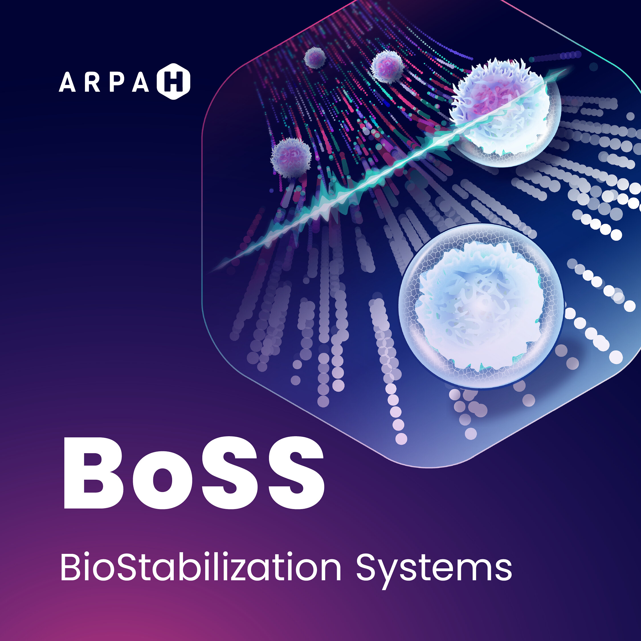 CaseBioscience erhält bis zu 7,3 Mio. USD von ARPA-H für Zelltherapie-Konservierung